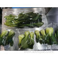 Semi automatic celery horizontal vegetables packing machine